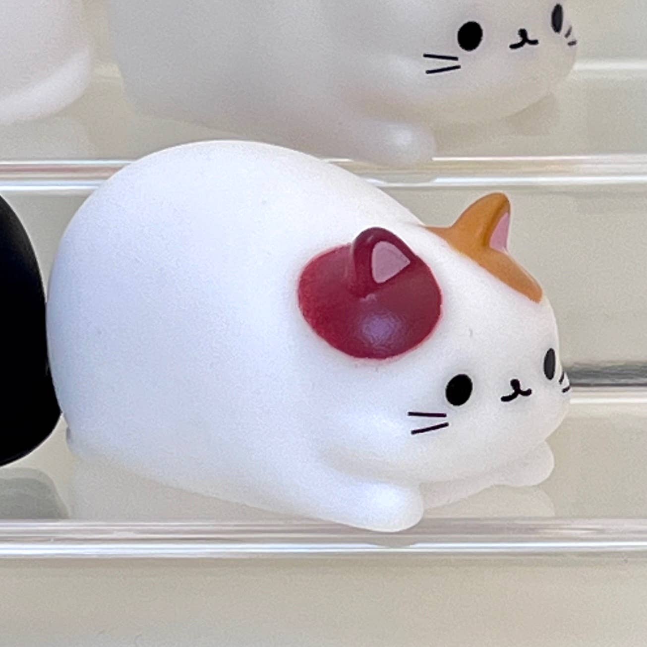 Cat mini squeezies