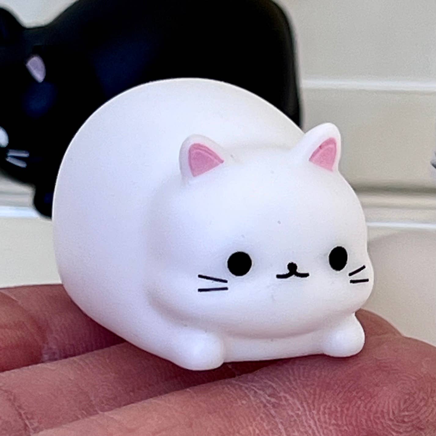 Cat mini squeezies
