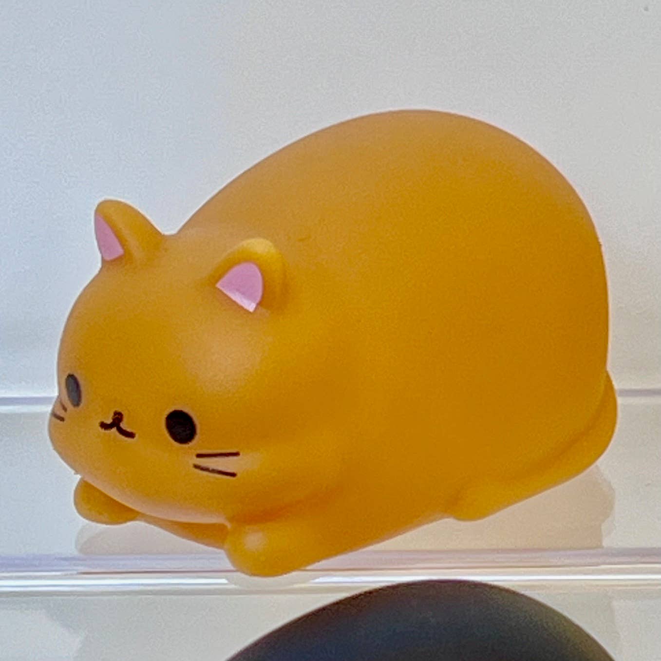 Cat mini squeezies