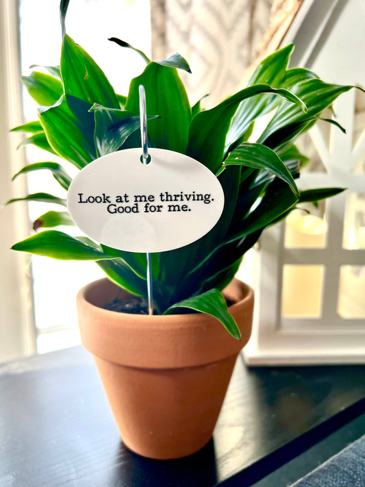 Look At Me Thriving Flower Pot Plant Stake
