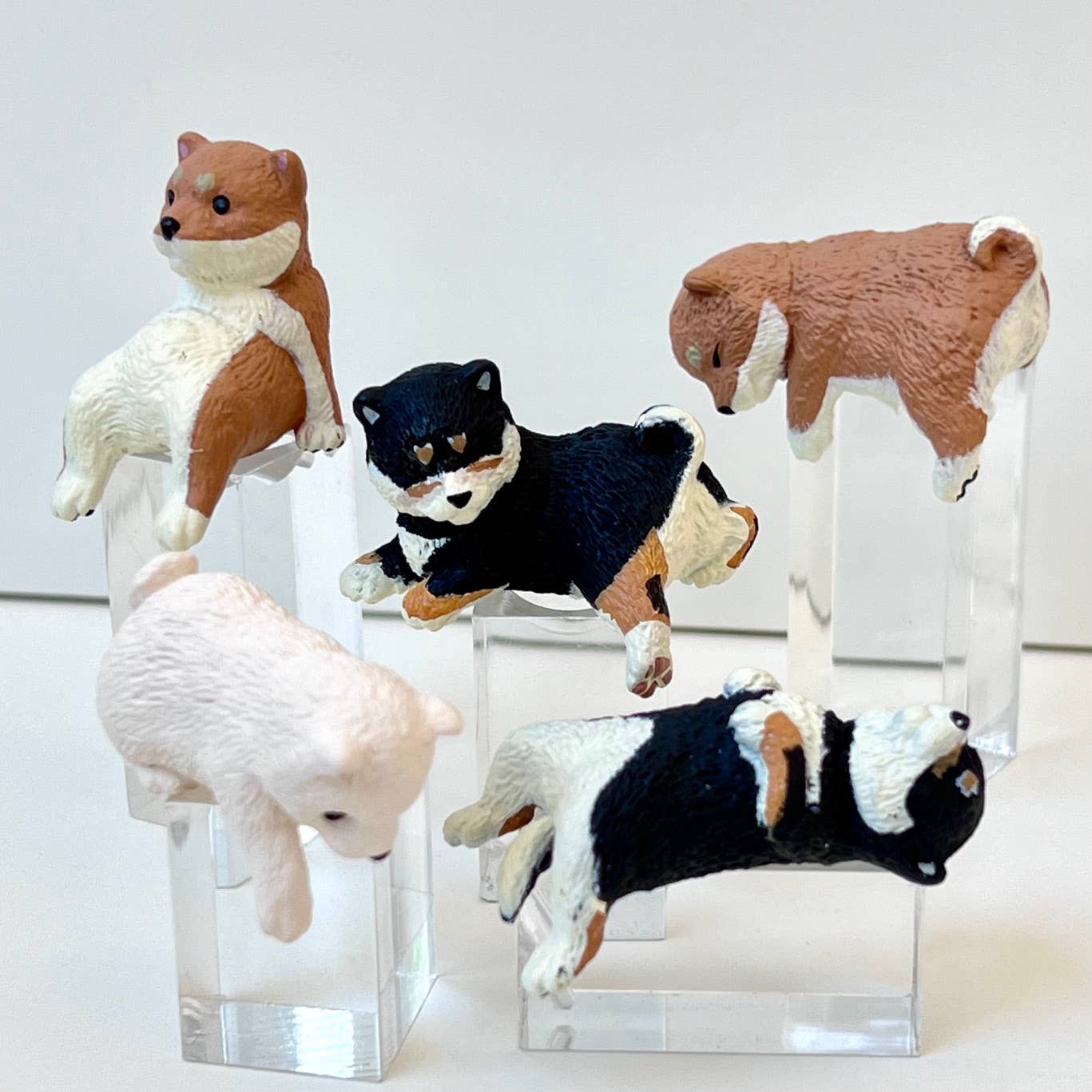 Playful Hanging Shiba Dog Blind Box