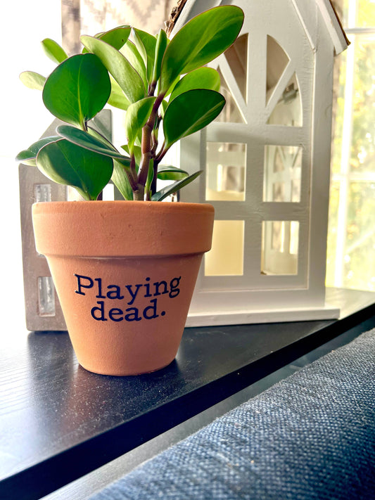 Playing Dead Terra Cotta Clay Flower Pot