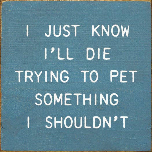 SAWDUST CITY - I Just Know I'll Die Trying To Pet Something I Shouldn't