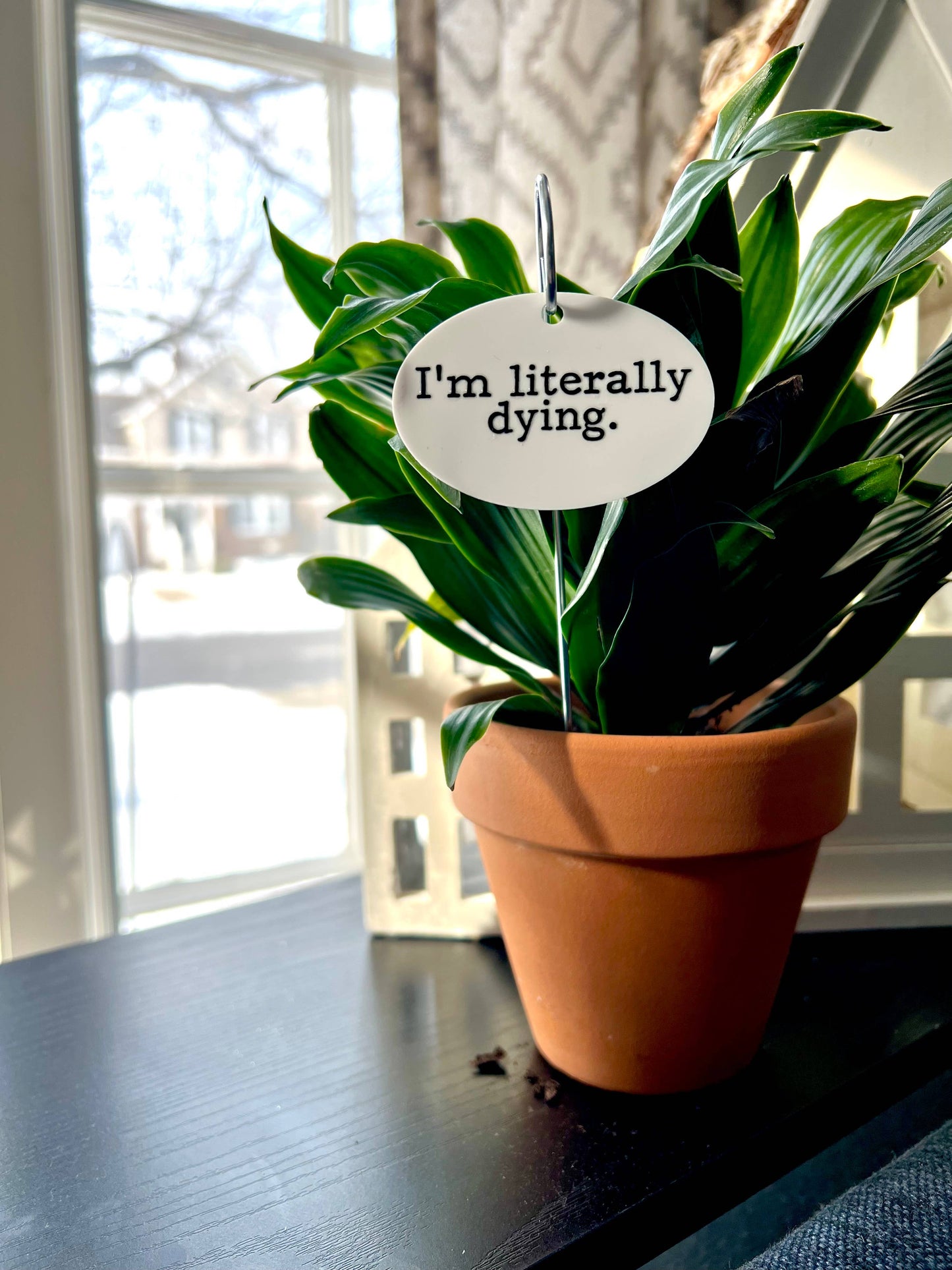 I'm Literally Dying Flower Pot Plant Stake