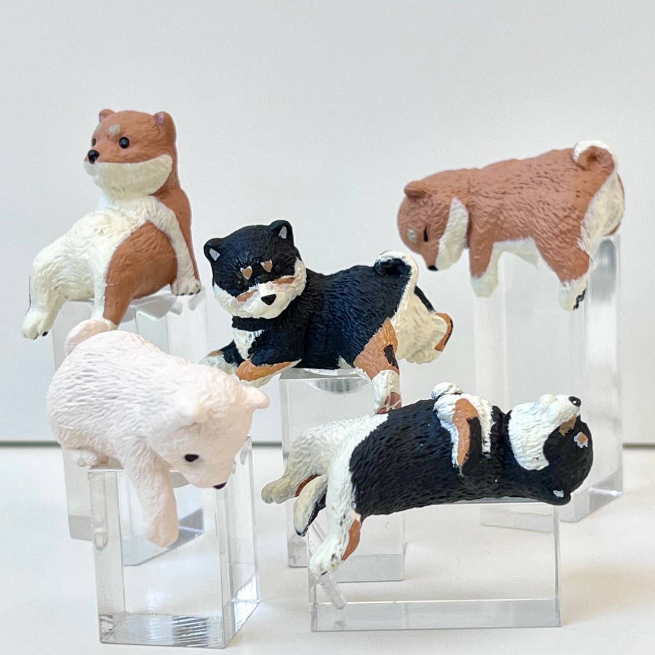 Playful Hanging Shiba Dog Blind Box