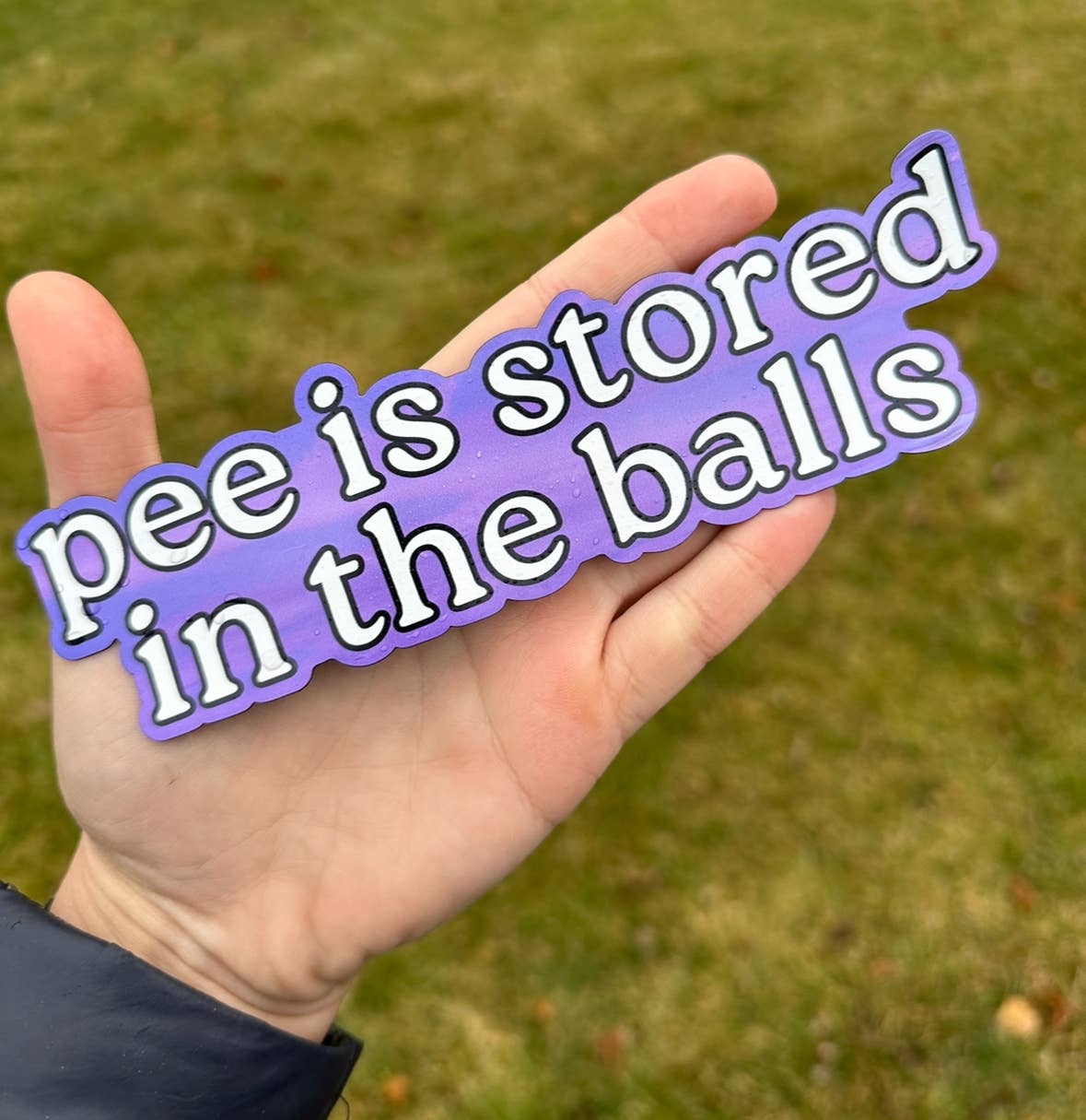 Pee Is Stored In The Balls Car/Fridge Magnet