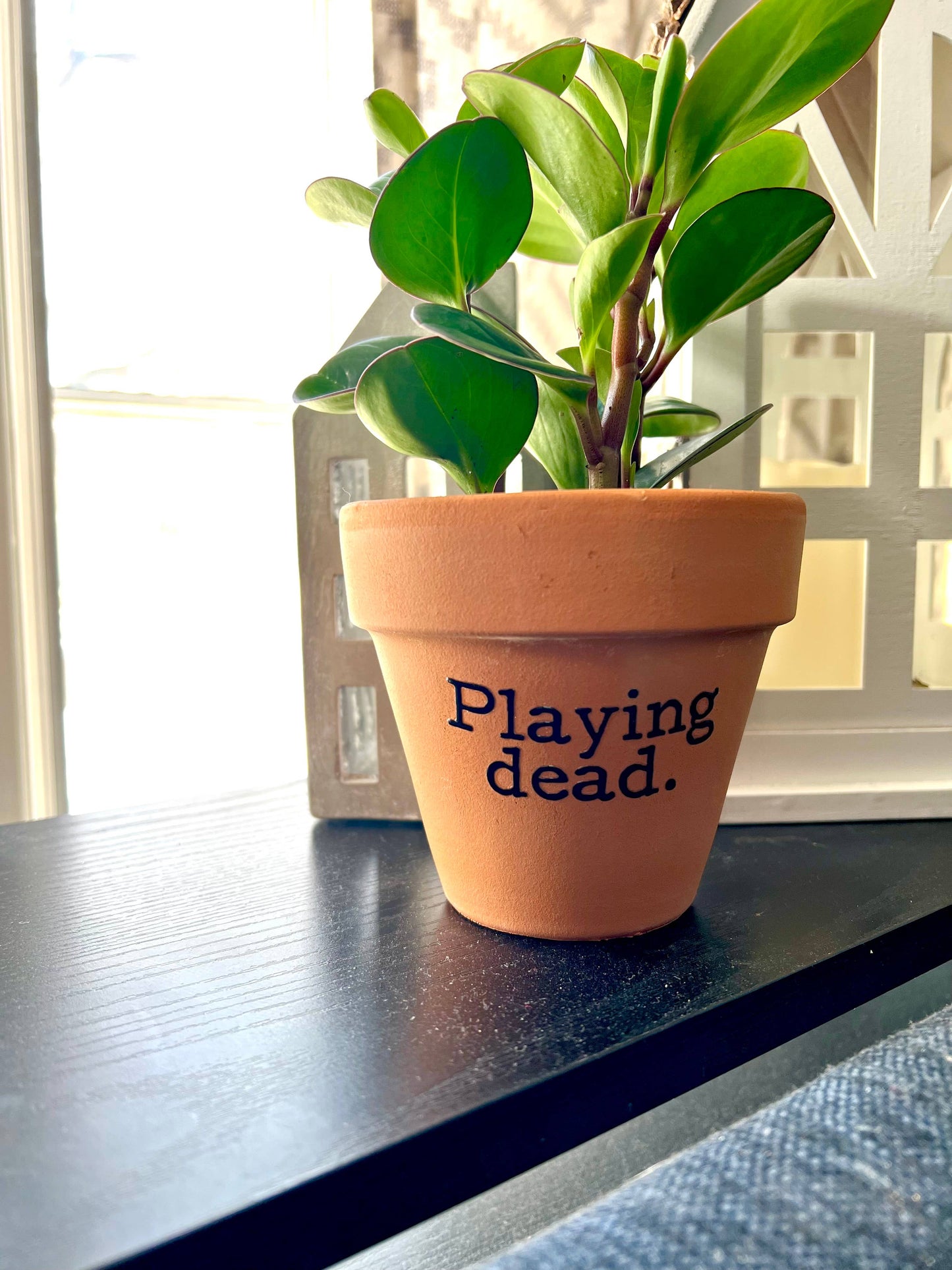 Playing Dead Terra Cotta Clay Flower Pot
