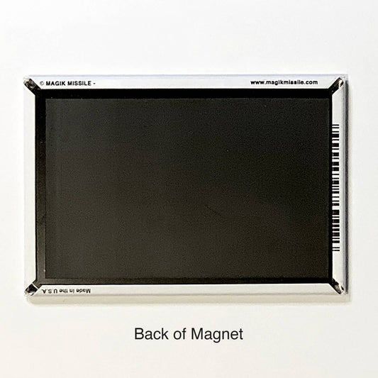 Drunken Shitfacery Magnet