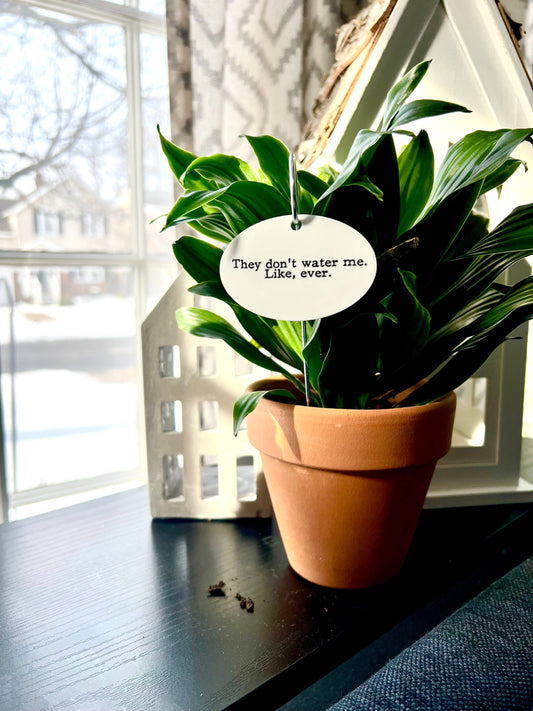 They Don't Water Me Like Ever Flower Pot Plant Stake