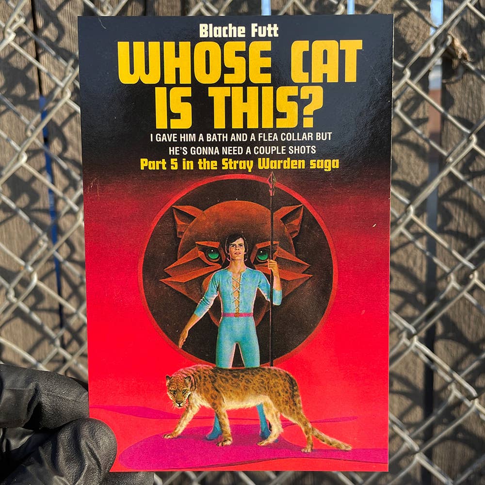 Whose Cat is This? Postcard