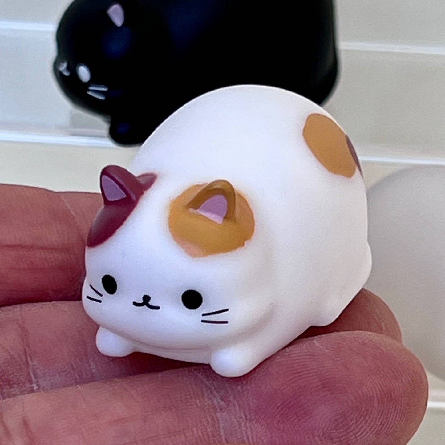 Cat mini squeezies