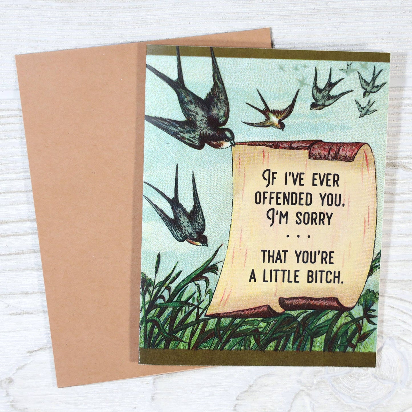 I'm Sorry If You're Offended (You're a Little Bitch)