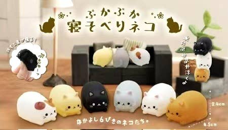 Cat mini squeezies