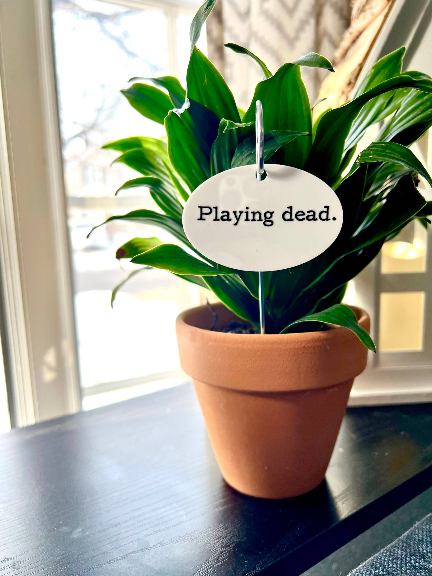 Playing Dead Flower Pot Plant Stake