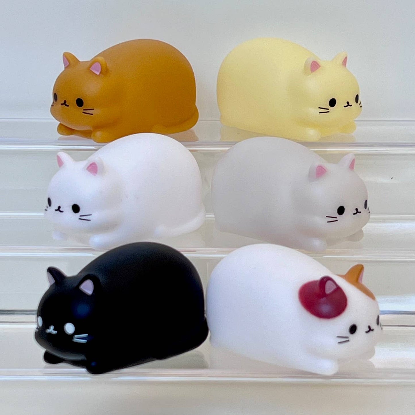 Cat mini squeezies
