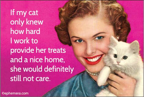 MAGNET: If my cat only knew how hard I work to provide