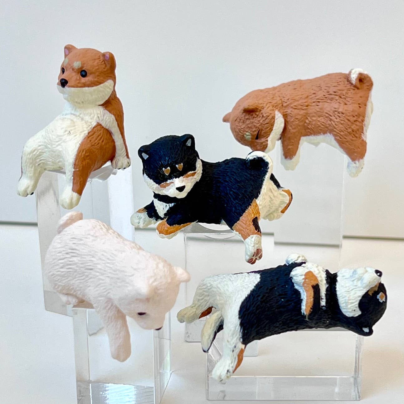 Playful Hanging Shiba Dog Blind Box