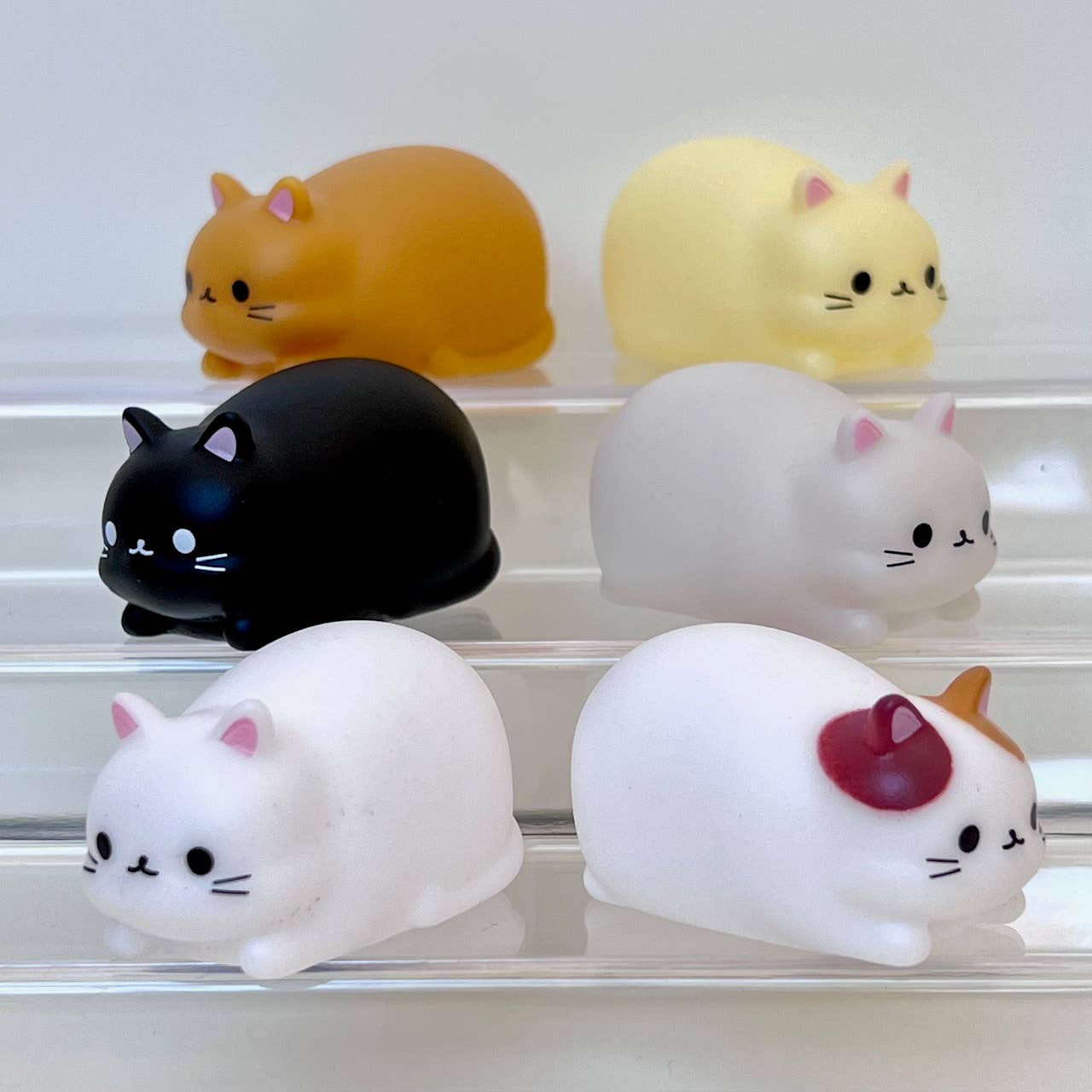 Cat mini squeezies