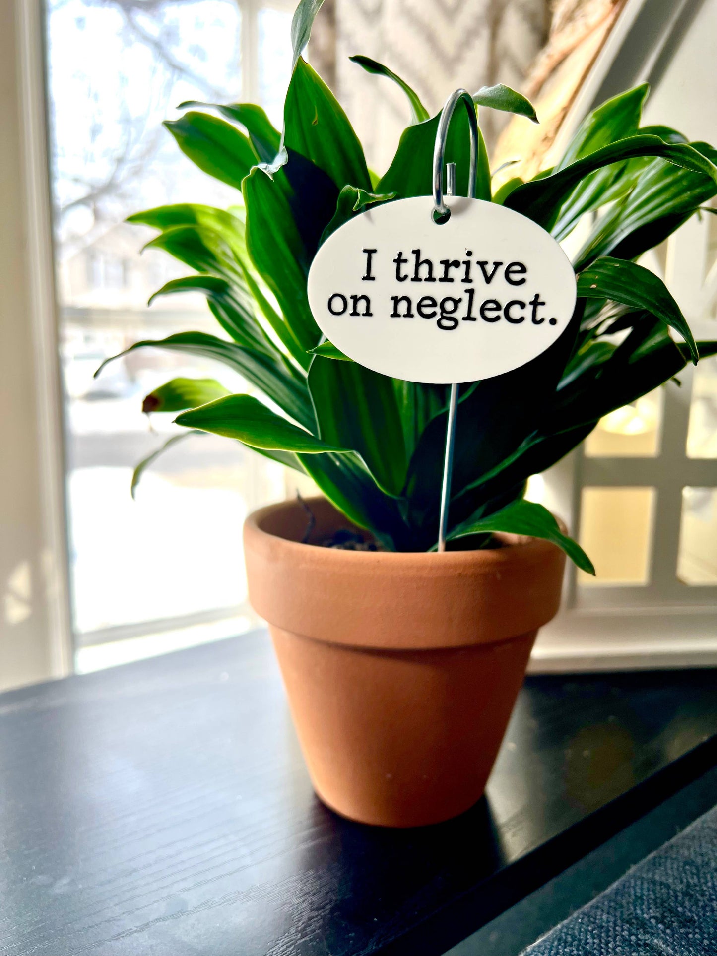 I Thrive On Neglect Flower Pot Plant Stake