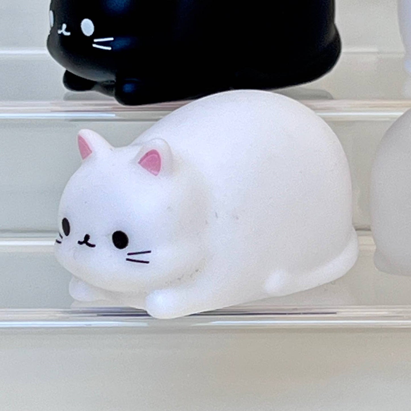 Cat mini squeezies