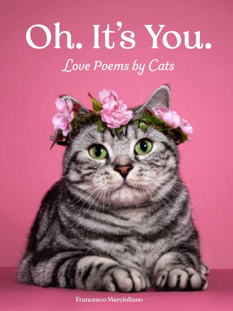 Oh. It's You. Love poems by cats