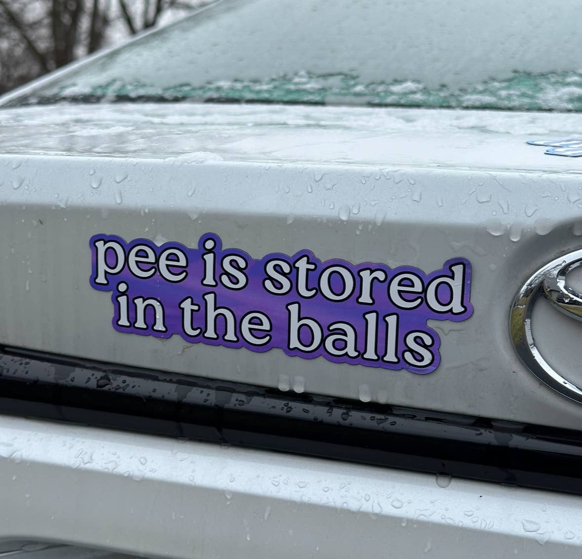 Pee Is Stored In The Balls Car/Fridge Magnet