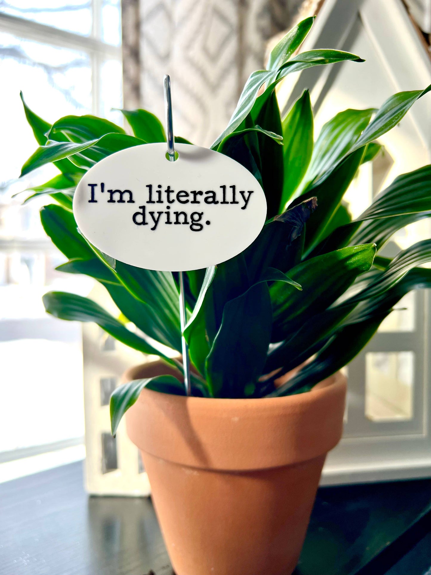 I'm Literally Dying Flower Pot Plant Stake
