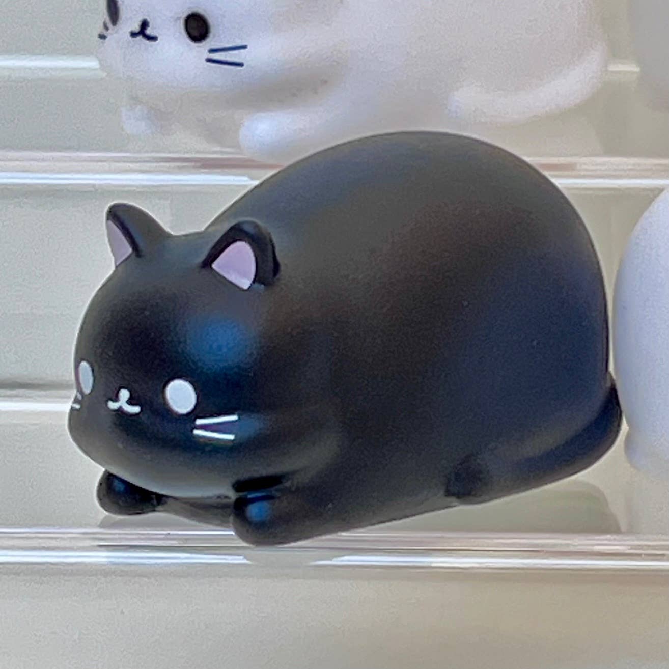 Cat mini squeezies
