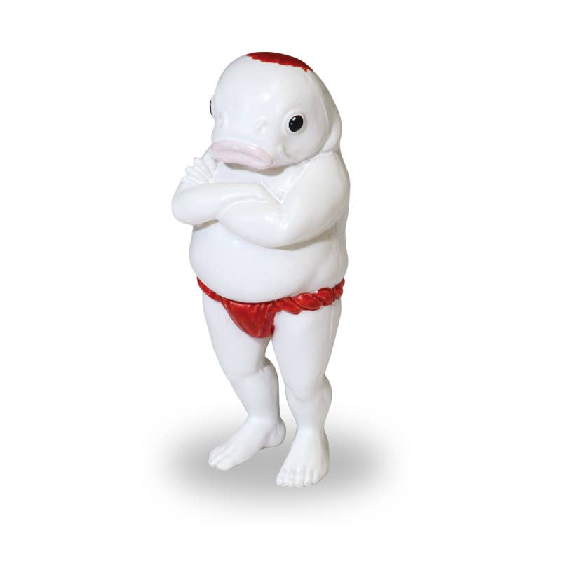 KOIMAN BLIND BOX