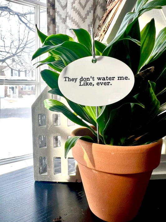 They Don't Water Me Like Ever Flower Pot Plant Stake