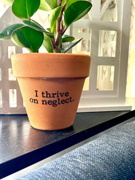I Thrive On Neglect Terra Cotta Clay Flower Pot