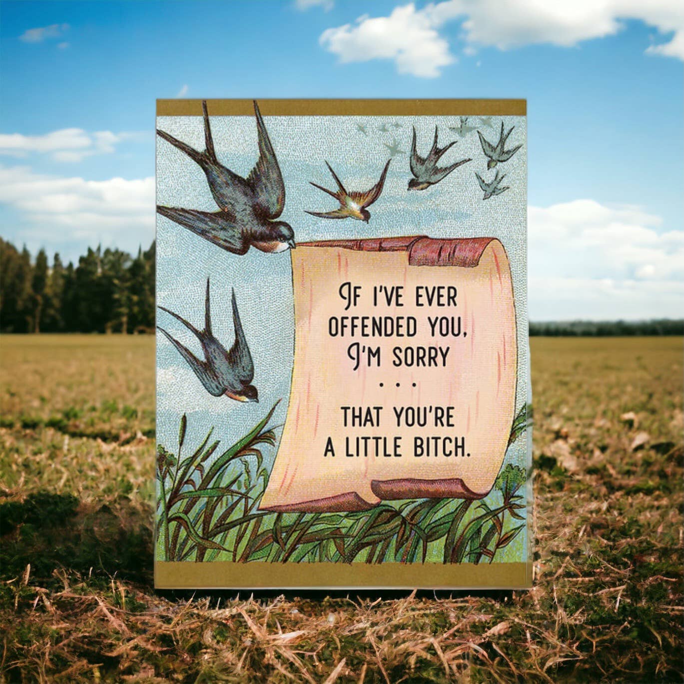 I'm Sorry If You're Offended (You're a Little Bitch)