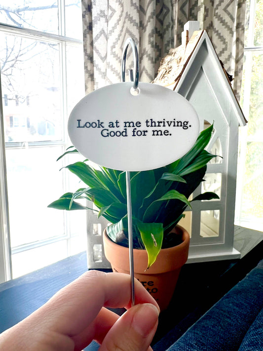 Look At Me Thriving Flower Pot Plant Stake