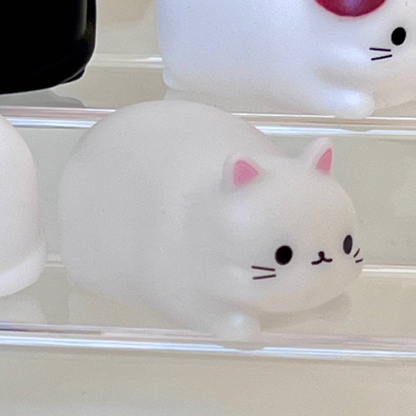 Cat mini squeezies