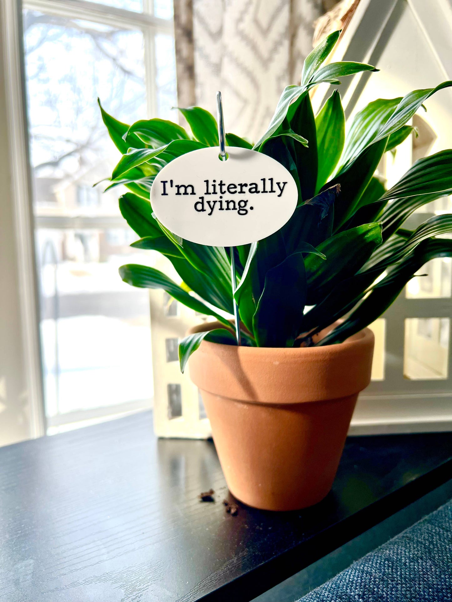 I'm Literally Dying Flower Pot Plant Stake