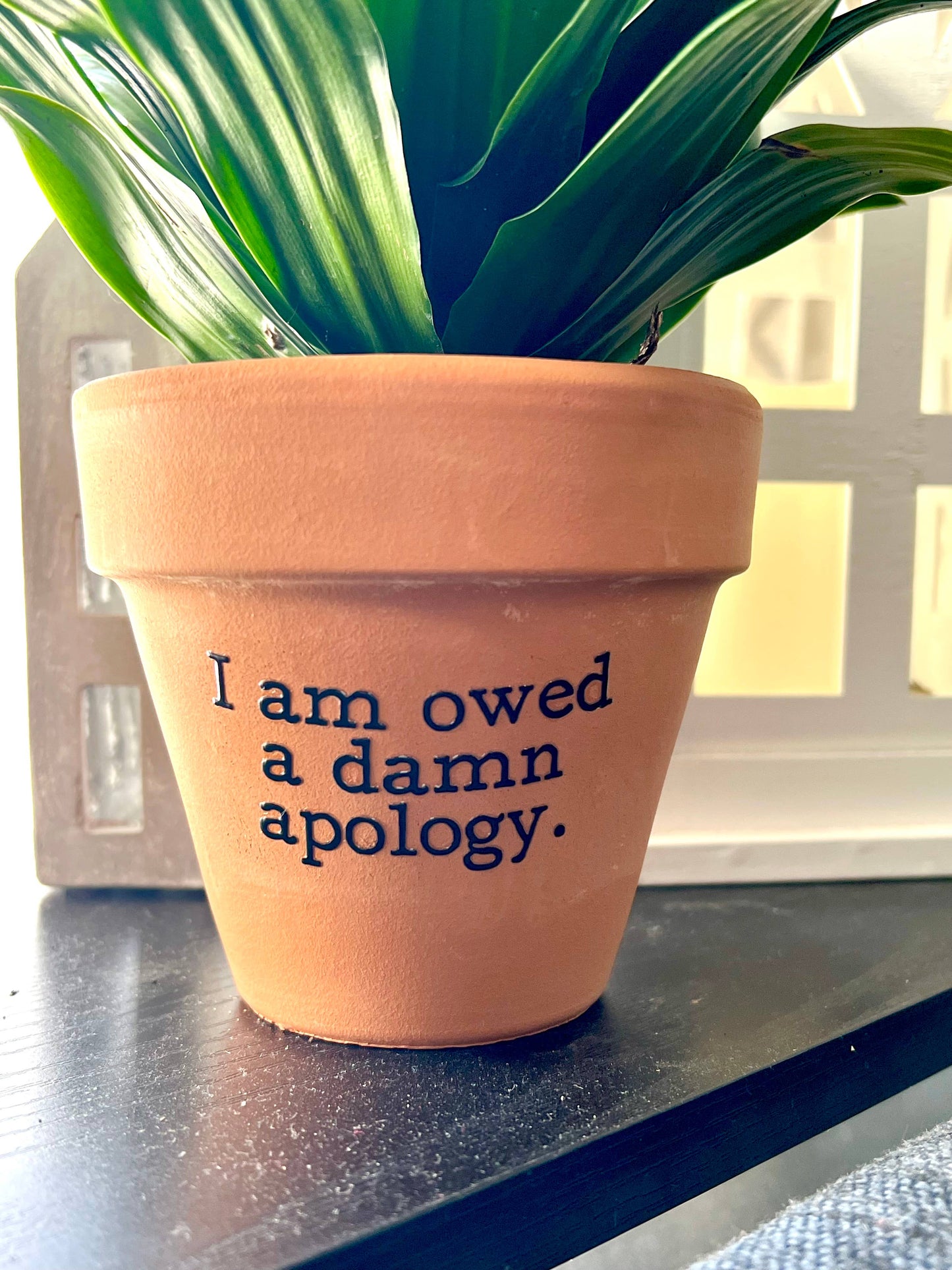I Am Owed A Damn Apology Terra Cotta Clay Flower Pot