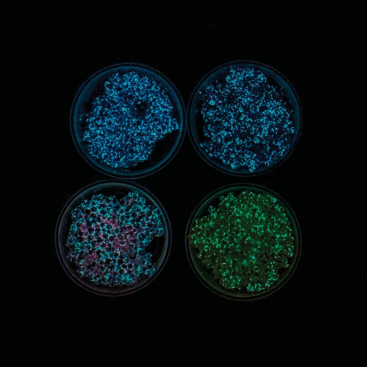 MINI GLOW IN THE DARK GLOPS N DOTS MODELING FOAM 1PC