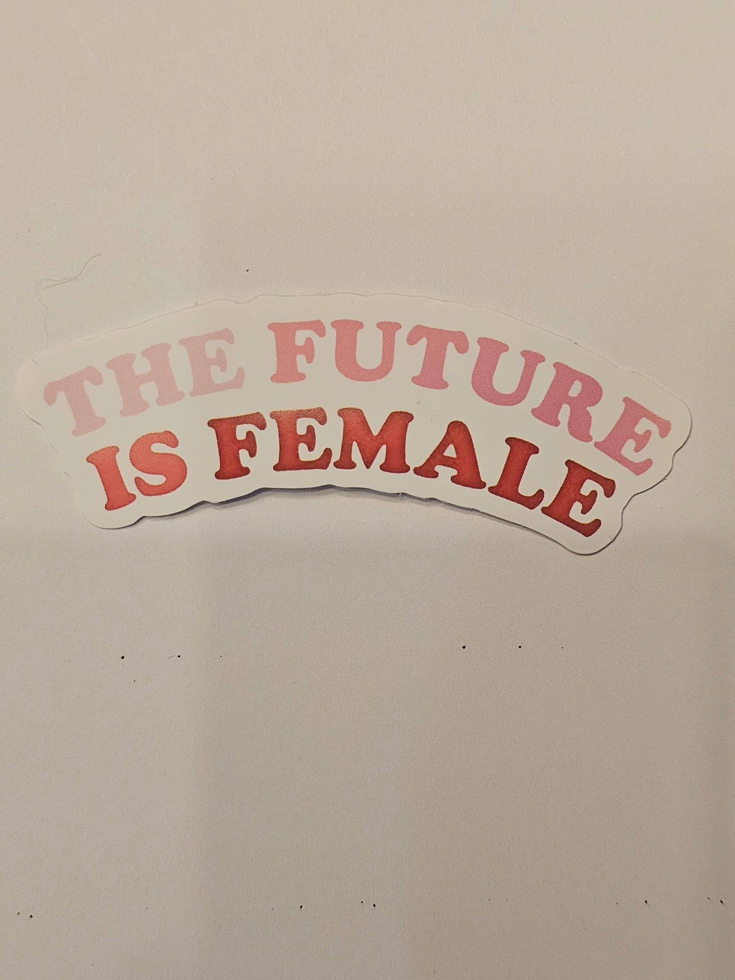 Future is Female Pink Sticker