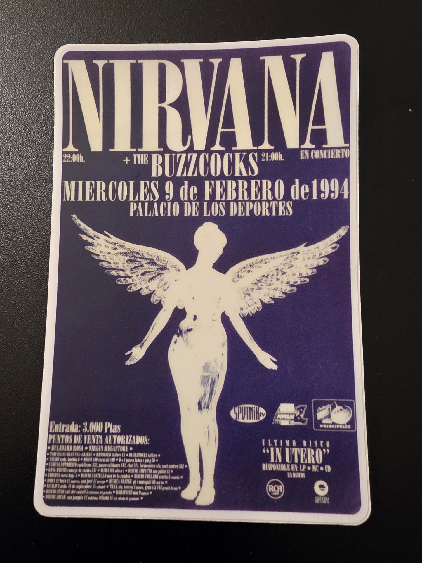 Nirvana Jumbo Sticker