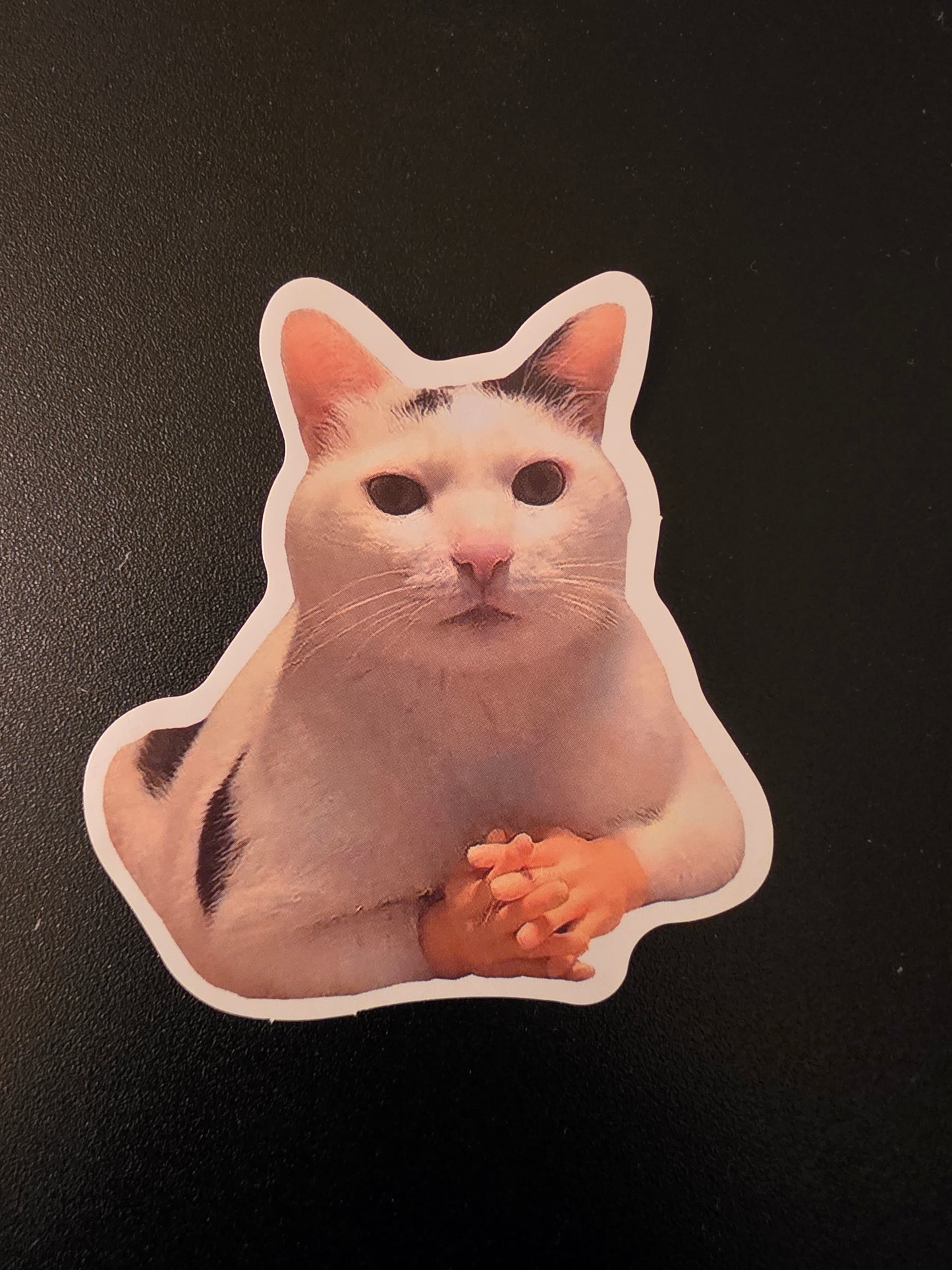 Cat hands Sticker