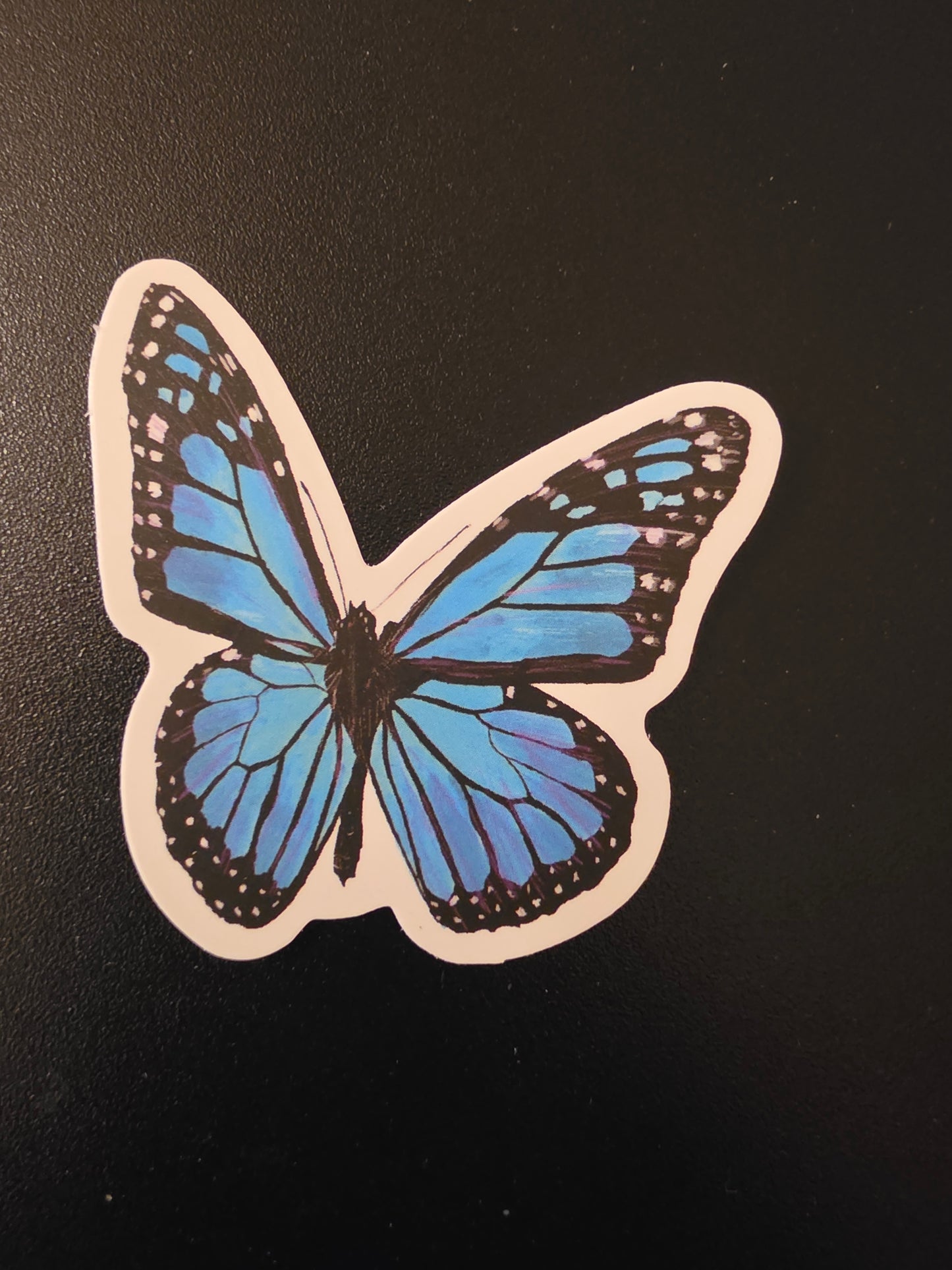Blue Butterfly Sticker