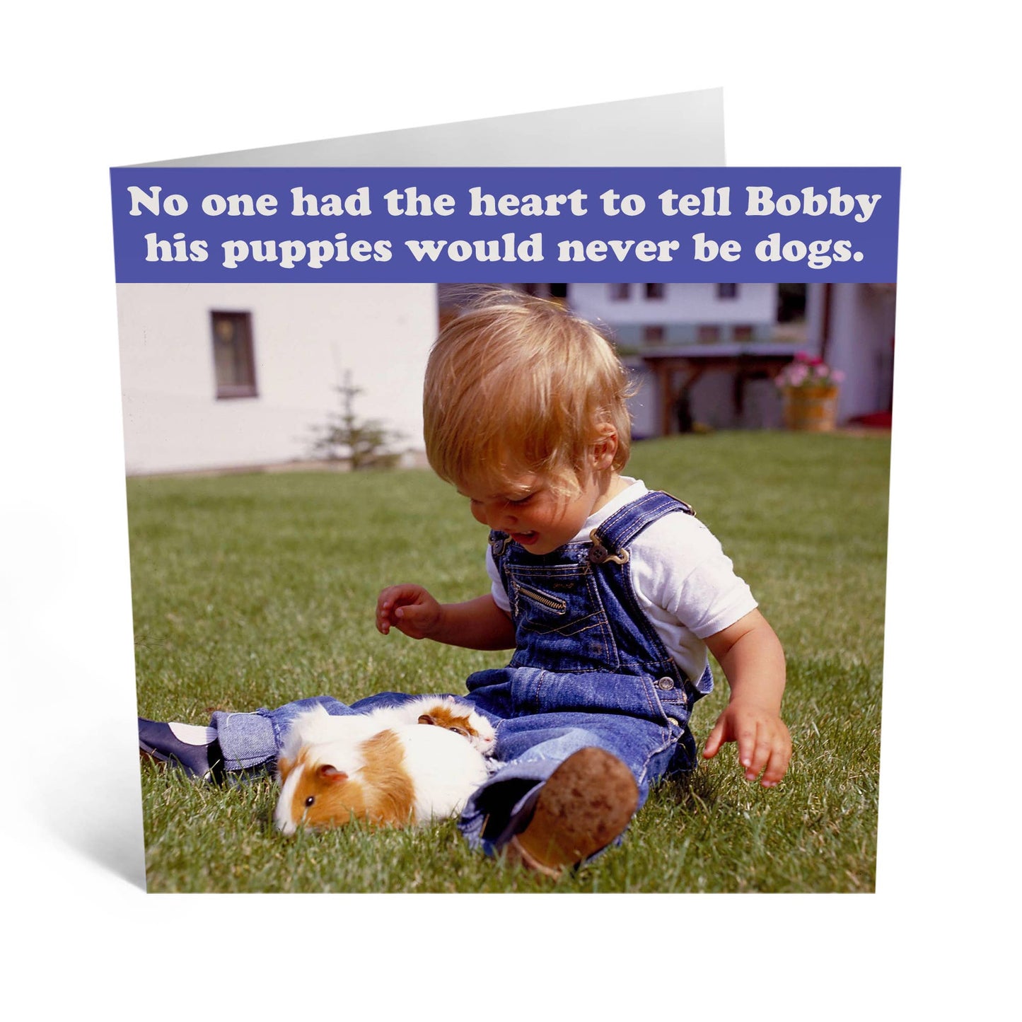 Puppies Would Never Be Dogs Card