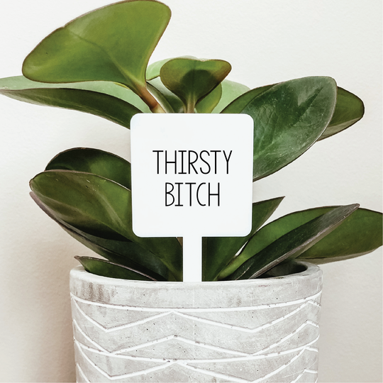 jade plant quotes Thirsty Bitch Plant Marker – Snark Gifts