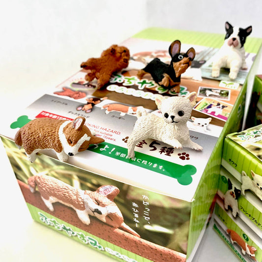 PLAYFUL HANGING DOGS BLIND BOX