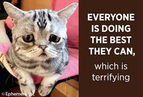 Magnet: Everyone is doing the best they