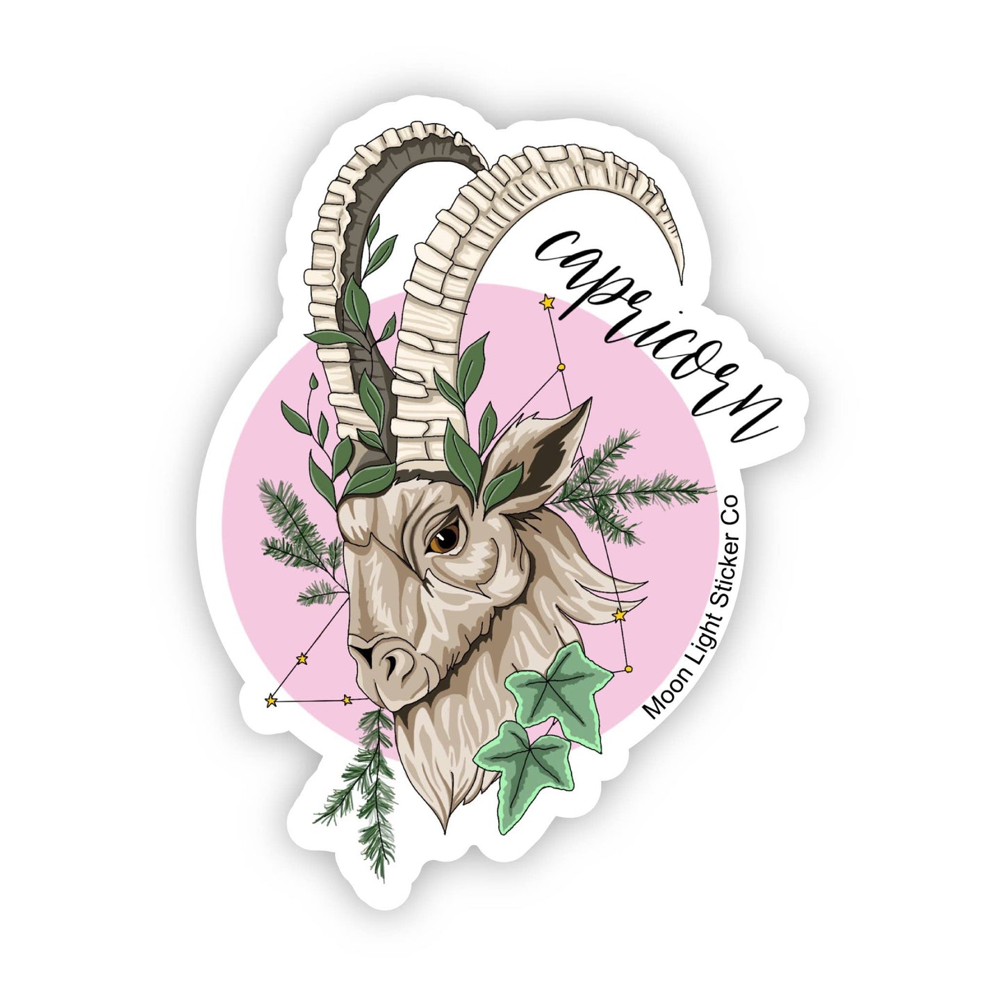 Capricorn Sticker