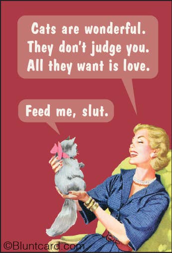 Cats are wonderful. They don't judge you - Magnet