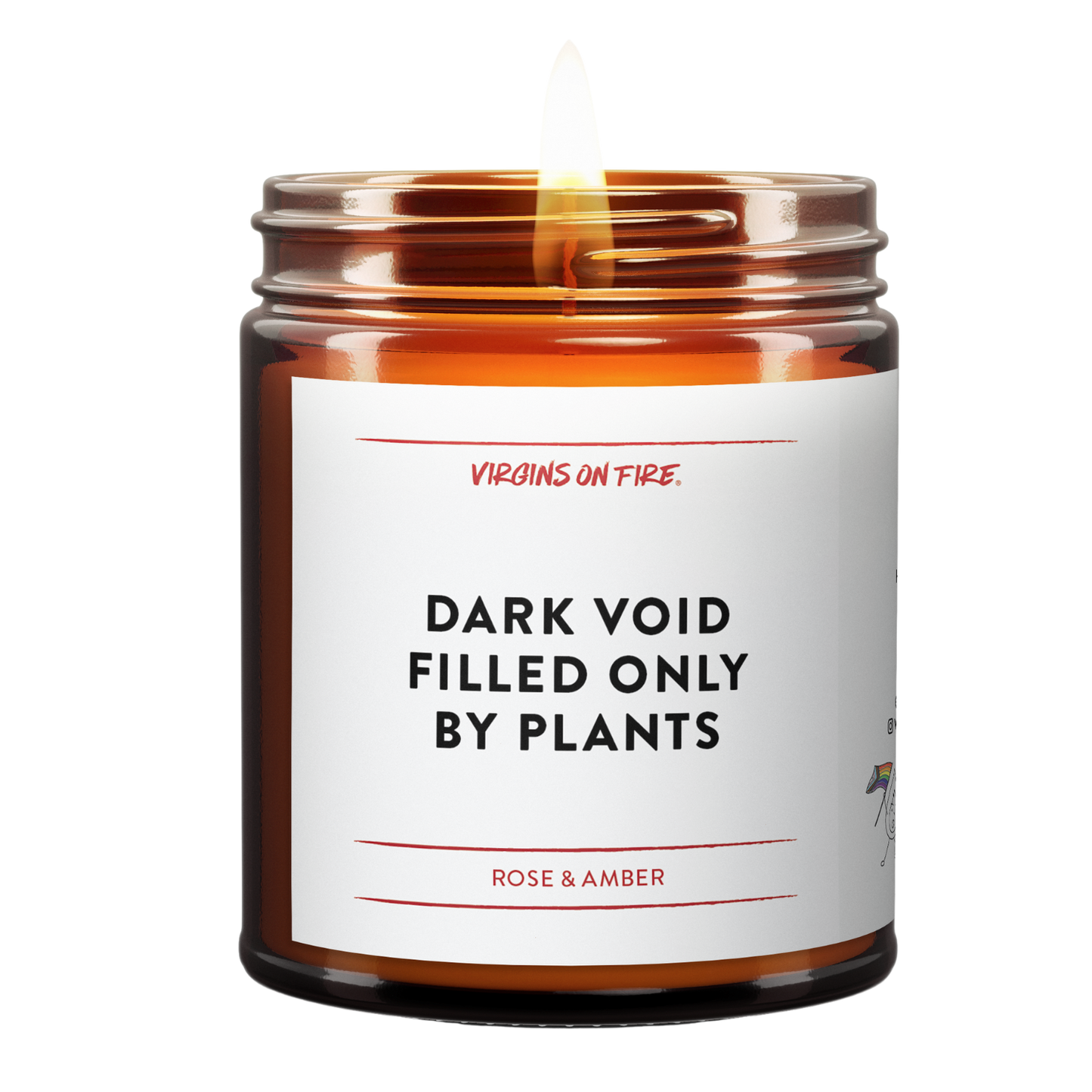 DARK VOID FILLED ONLY BY PLANTS (Amber & Rose) 🪴 Soy Candle