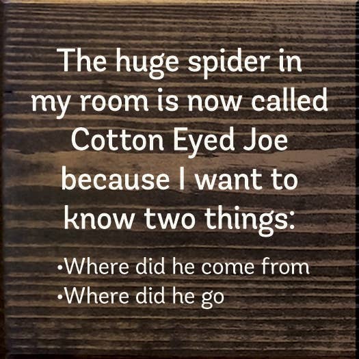 SAWDUST CITY - The Huge Spider In My Room Is Now Called Cotton Eyed Joe