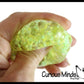 Small 1.5" Confetti Bead Ball Set with Thick Gel.  1 Set